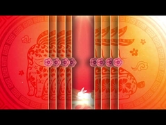 The Chinese New Year Wishes And Greetings From Luoyang Liushi Mould Co.,Ltd