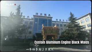 Stampo per blocco motore in alluminio OEM per ricambi auto